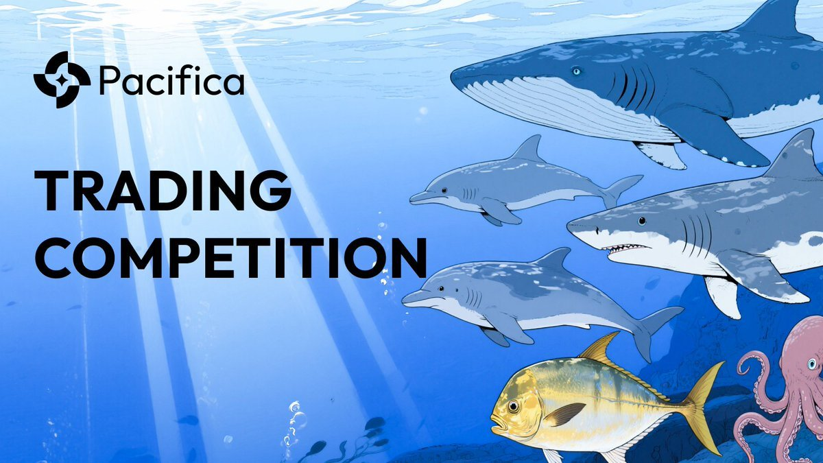 Pacifica Trading Competition